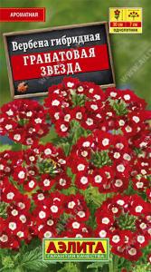 Гранатовая звезда гибридная вербена 30шт (а)