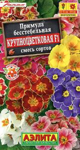 Крупноцветковая F1, смесь окрасок примула 7шт (а)