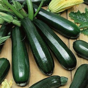 Негритенок кабачок весовые 