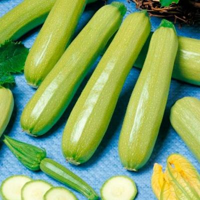 Итальянский кабачок светло-зеленый весовые